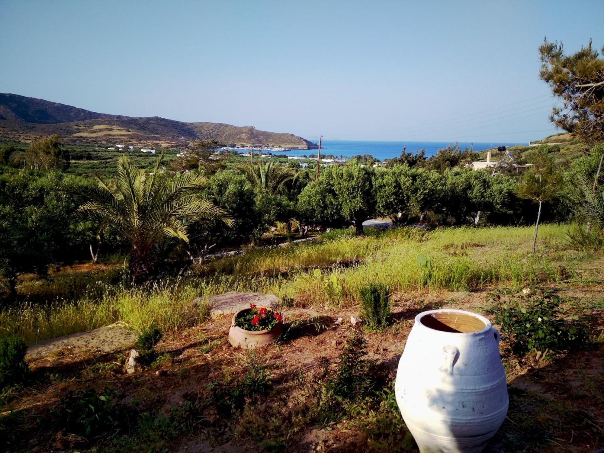 Porto Heli Apartments ปาเลกาสตรอน ภายนอก รูปภาพ