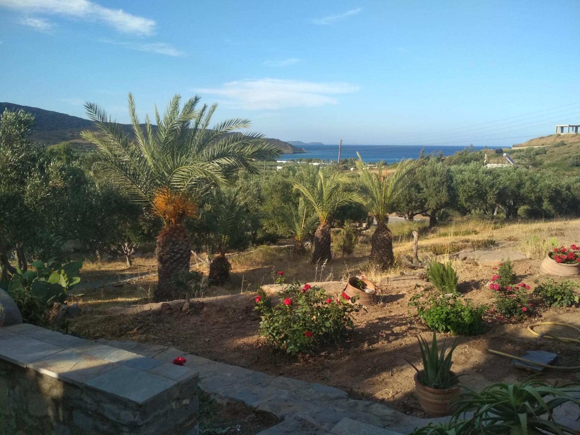 Porto Heli Apartments ปาเลกาสตรอน ภายนอก รูปภาพ