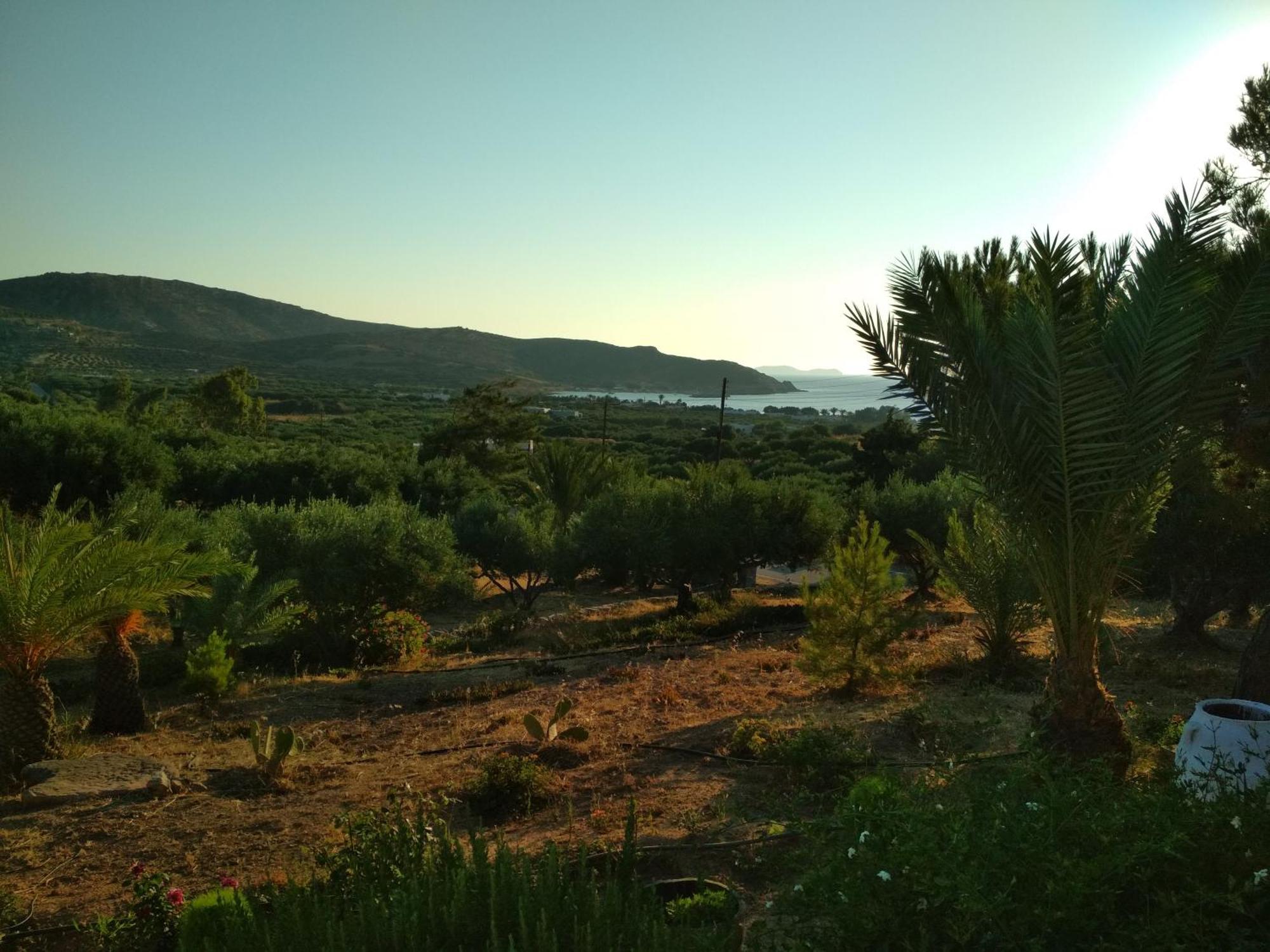 Porto Heli Apartments ปาเลกาสตรอน ภายนอก รูปภาพ